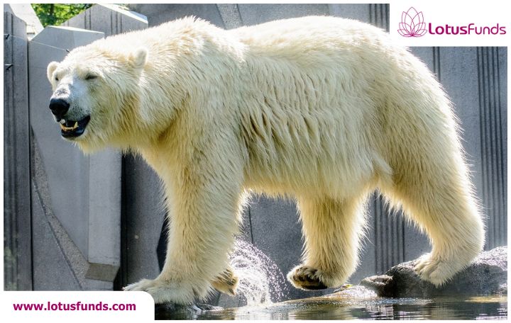 Blog image: Nifty bears dominate Tuesday’s trading session.